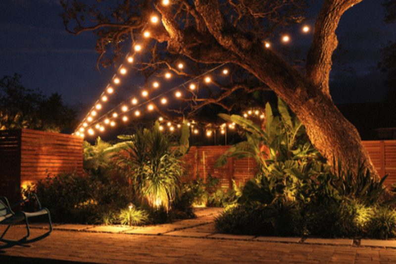 Landscape Lighting